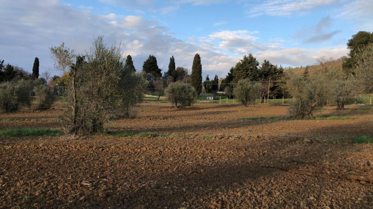 Agriturismo Il Broletto Suvereto Exterior photo